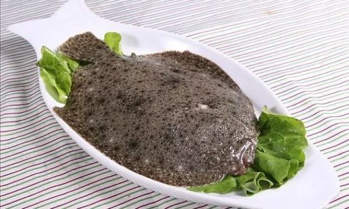 The Distinctive Worlds of Flounder and Turbot:A Comparative Exploration