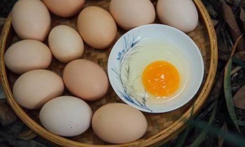 The Ultimate Guide to Enjoying Free-Range Eggs:From Farm to Table