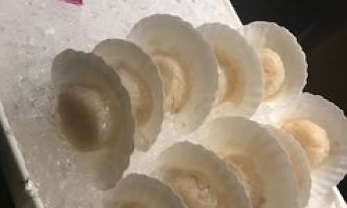 Mastering the Art of Cooking Scallops:Techniques,Flavors,and Tips for a Gourmet Experience