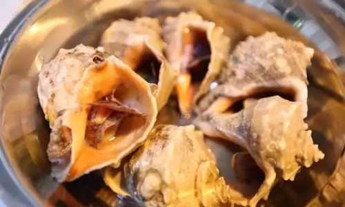 Mastering the Art of Cooking Shellfish:A Comprehensive Guide to Optimal Cooking Times