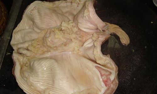 The Ultimate Guide to Cleaning Seashells Quickly and Effectively:Techniques for Pristine Results