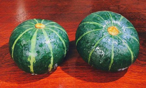 Mastering the Art of Cooking Kabocha Squash:Delicious and Creative Recipes to Savor Every Bite