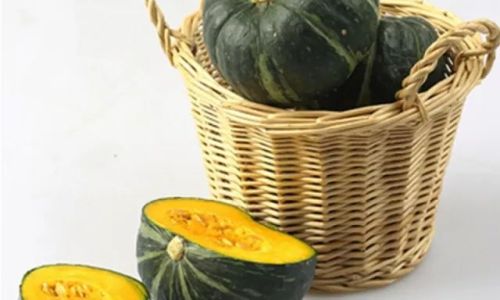 The Botanical and Culinary Classification of Beibei Squash:Unraveling Its Relationship to Pumpkins