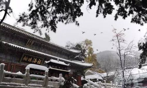 The Spiritual Quest at Beijing’s Tanzhe Temple:What Do Pilgrims Seek?