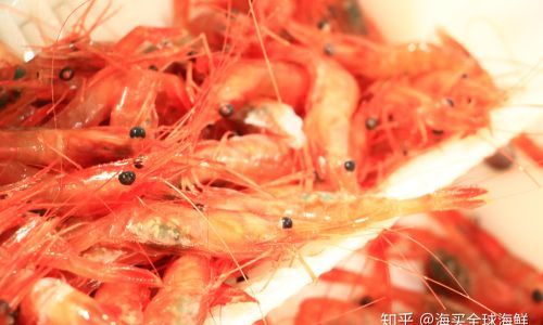 Can Arctic Shrimp Belly Roe Be Consumed?Debunking the Myth of Black-Colored Roe