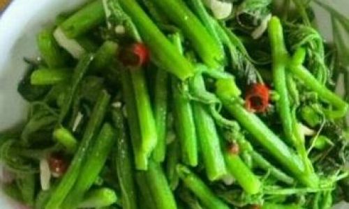 Mastering the Art of Cooking North Gourd Vine:Delicious Recipes and Techniques