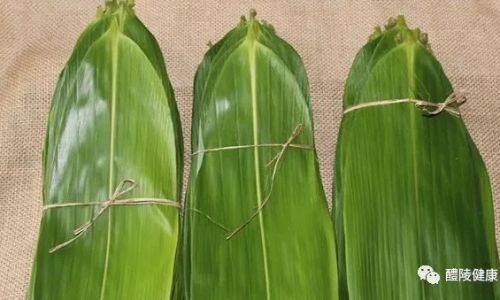 The Leafy Secret Behind Northern China’s Beloved Zongzi:A Deep Dive into Bamboo Leaves