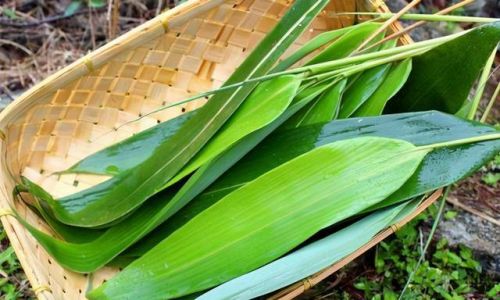 The Leafy Secret Behind Northern China’s Beloved Zongzi:A Deep Dive into Bamboo Leaves
