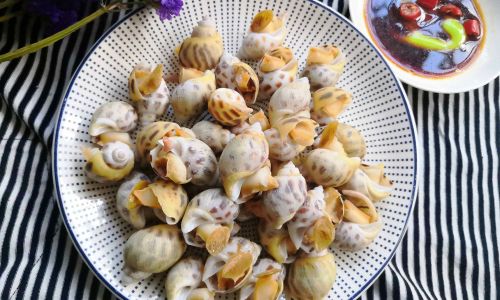 The Ultimate Guide to Northern Scallops:Unveiling the Peak Season for Plumpness and Flavor
