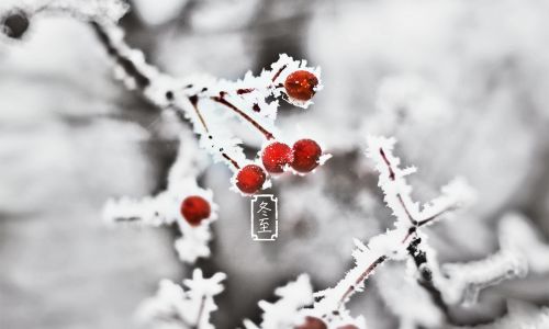 Traditional Cuisine of Northern China:Celebrating the Winter Solstice with Hearty Feasts