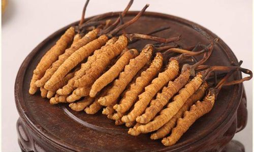 Optimal Consumption Methods for Cordyceps Militaris:Unlocking Its Full Health Potential