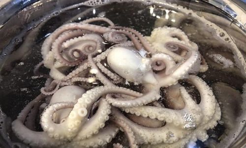 Mastering the Art of Cooking Exploding Head Octopus:A Comprehensive Guide to Perfect Doneness