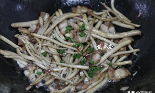 The Art of Stir-Frying Fresh Tea Tree Mushrooms:A Culinary Journey from Farm to Table