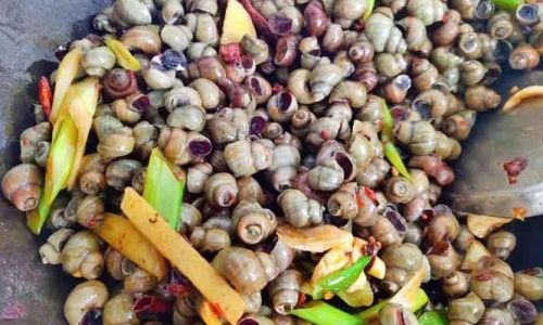 Stir-Fried River Snails:A Flavorful Journey Through China’s Culinary Soul