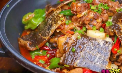 How to Prepare Stir-Fried Turtle:A Step-by-Step Guide to a Gourmet Delicacy