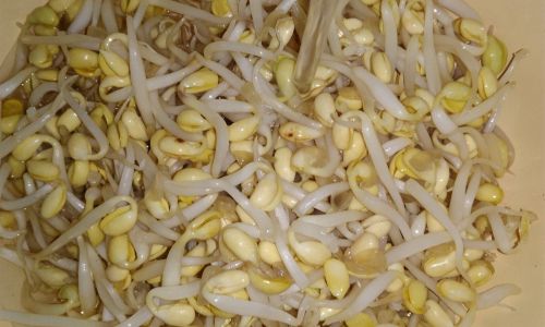 The Art of Stir-Fried Soybean Sprouts:A Culinary Journey Through Texture and Flavor