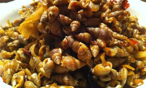 Mastering the Art of Stir-Fried Conch:A Delicious Journey from Sea to Plate