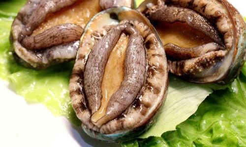 Mastering the Art of Cooking Abalone:Techniques,Recipes,and Tips for a Gourmet Experience