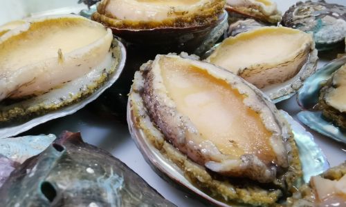 Mastering the Art of Cooking Abalone:Techniques,Recipes,and Tips for Culinary Excellence