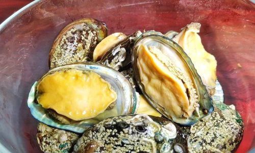 How to Freeze Abalone:A Step-by-Step Guide to Preserving Freshness and Flavor