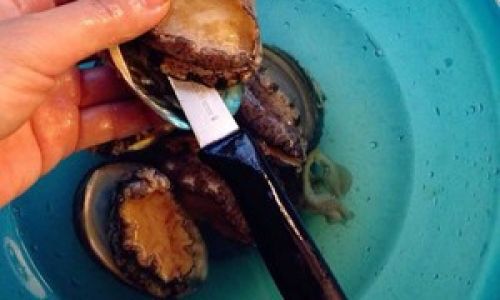 How to Freeze Abalone:A Step-by-Step Guide to Preserving Freshness and Flavor