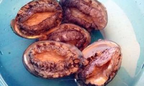 How to Freeze Abalone:A Step-by-Step Guide to Preserving Freshness and Flavor