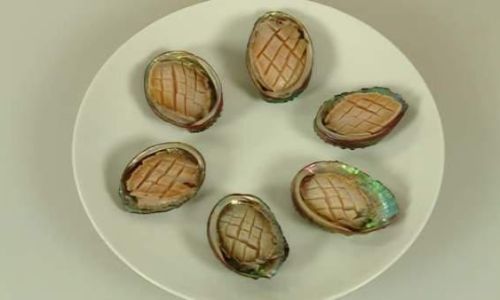 A Comprehensive Guide to Cleaning and Storing Abalone:Techniques for Preserving Flavor and Quality