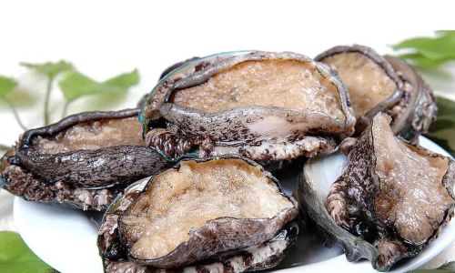 The Ultimate Guide to Preserving Abalone:Expert Tips for Temporary Storage