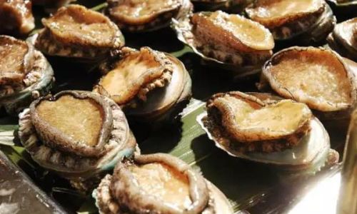 The Ultimate Guide to Preserving Abalone:Expert Tips for Temporary Storage