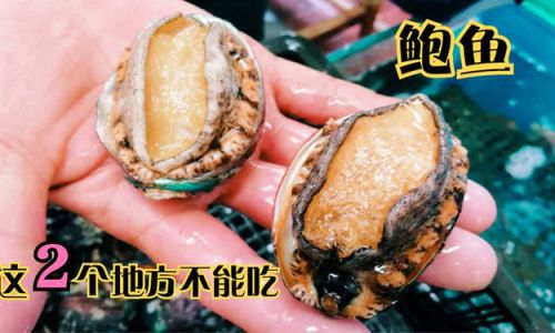 The Ultimate Guide to Preserving Abalone:Expert Tips for Temporary Storage