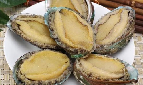 The Ultimate Guide to Preserving Abalone:Techniques and Tips for Longevity and Quality