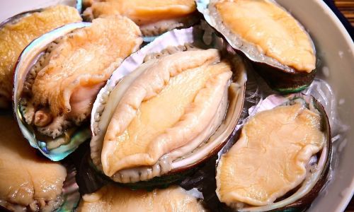 The Pinnacle of Pricey Seafood:Unraveling the Reasons Behind Abalones Exorbitant Cost
