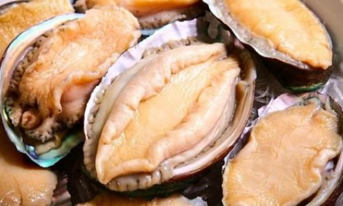 Mastering the Art of Boiling Abalone:A Comprehensive Guide to Perfect Cooking Times