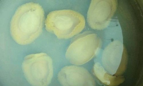 The Ultimate Guide to Rehydrating Dried Abalone:Techniques,Tips,and Tricks for Perfect Results
