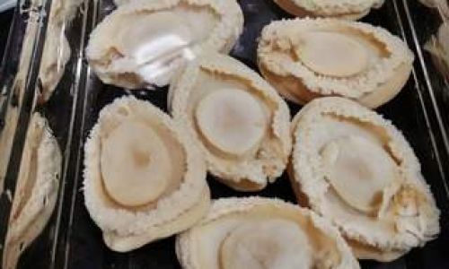 The Ultimate Guide to Rehydrating Dried Abalone:Techniques,Tips,and Tricks for Perfect Results