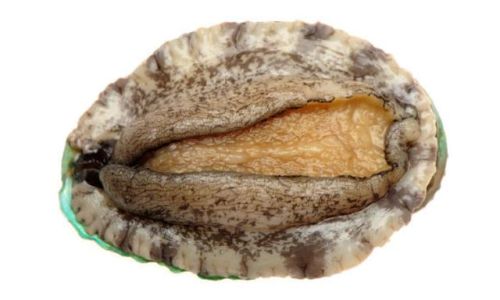 Mastering the Art of Steaming Abalone:Precision in Time and Technique for Culinary Perfection
