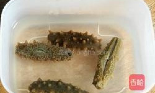 The Art of Crafting Abalone,Spare Ribs,and Sea Cucumber Stew:A Culinary Masterpiece