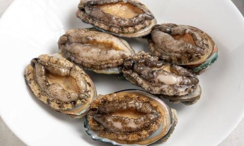 Exquisite Abalone Recipes:Elevating Seafood Delicacies to Culinary Masterpieces