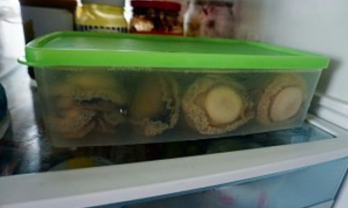 The Ultimate Guide to Quick and Easy Rehydration of Dried Abalone:Techniques,Tips,and Tricks