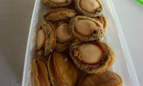 The Ultimate Guide to Quick and Easy Rehydration of Dried Abalone:Techniques,Tips,and Tricks