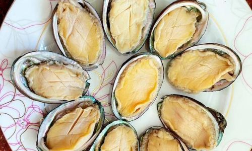 The Ultimate Guide to Cooking and Savoring Abalone:Techniques,Recipes,and Pairings