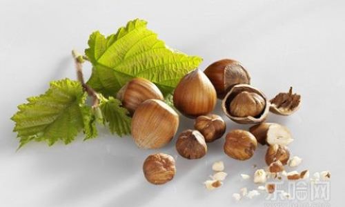 The Optimal Duration for Storing Hazelnuts:A Guide to Preserving Freshness and Flavor