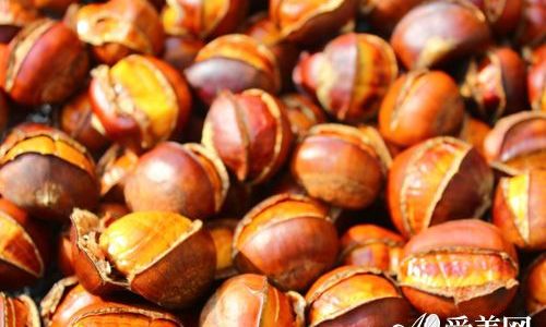 The Optimal Duration for Storing Hazelnuts:A Guide to Preserving Freshness and Flavor