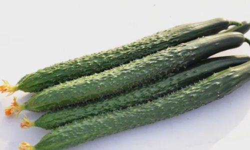Effective Methods to Preserve Fresh Cucumbers:A Comprehensive Guide