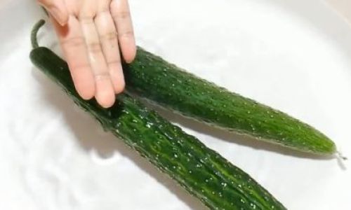 Effective Methods to Preserve Fresh Cucumbers:A Comprehensive Guide