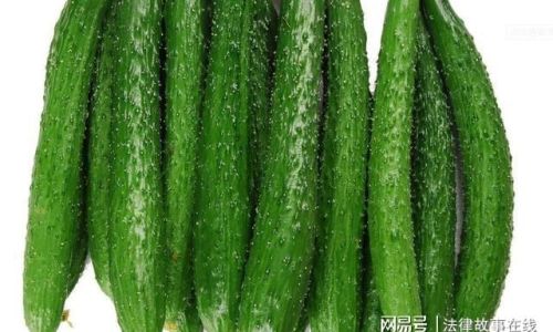 Effective Methods to Preserve Fresh Cucumbers:A Comprehensive Guide