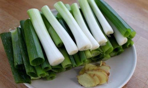 The Ultimate Guide to Preserving Fresh Bitter Bamboo Shoots:Methods,Tips,and Longevity