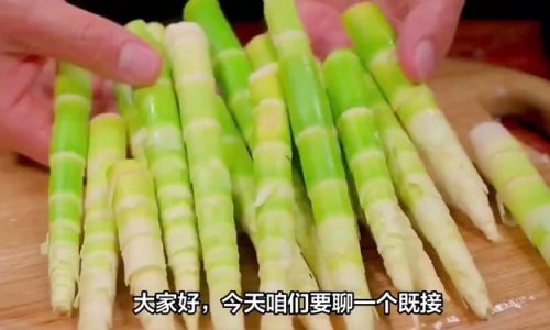 The Ultimate Guide to Preserving Fresh Bitter Bamboo Shoots:Methods,Tips,and Longevity