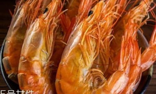 Mastering the Art of Preserving Dried Shrimp:Essential Tips for Longevity and Flavor