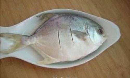 Effective Methods for Preserving Fresh Fish:A Comprehensive Guide